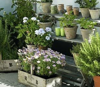 10 Tips For Growing A Herb Garden At Home
