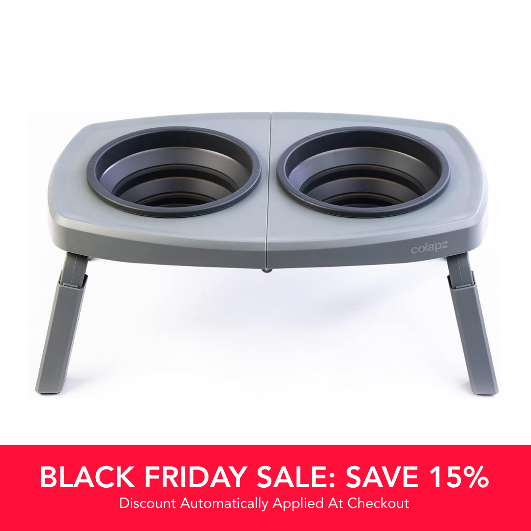 Collapsible Twin Dog Bowls on Stand